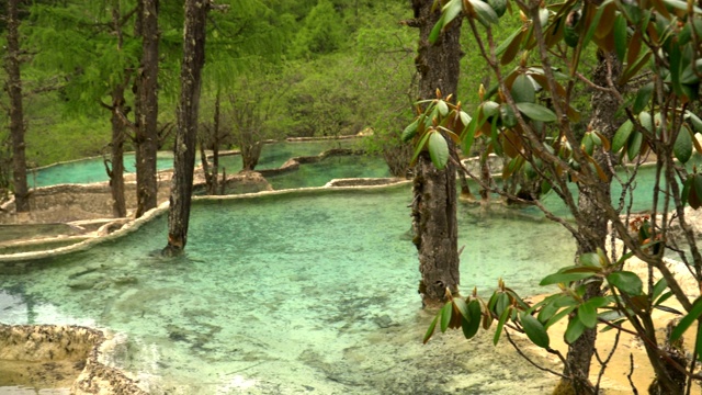 淘景:中国四川黄龙谷景观森林中的五色池视频素材