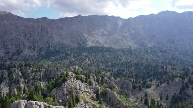 树木和山地森林，鸟瞰图视频素材