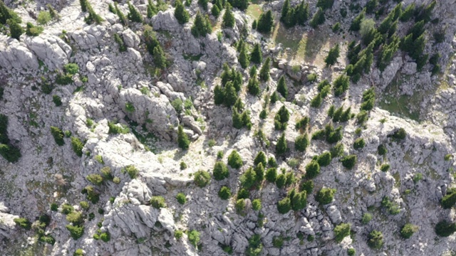 树木和山地森林，鸟瞰图视频素材