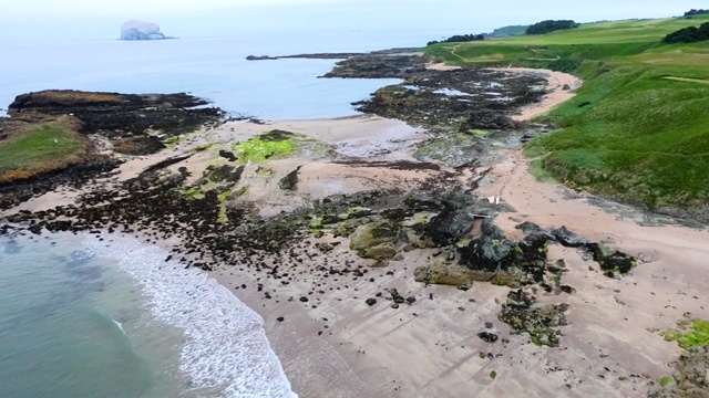 鸟瞰图的Bass岩-家北部塘鹅殖民地和绿色农田，米尔西湾和哈路海滩，北海，北贝里克视频素材