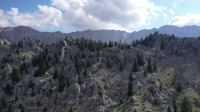 树木和山地森林，鸟瞰图视频素材