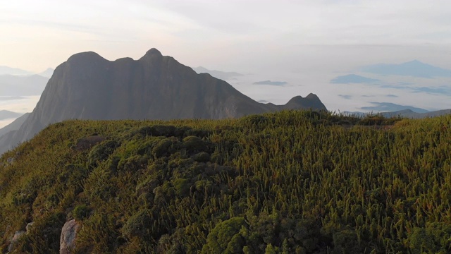 徒步旅行者露营在最高的巴西南部热带雨林的山顶，皮科卡拉图瓦和皮科Paraná视频素材