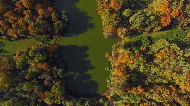 飞过公园里的秋湖视频素材