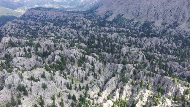 树木和山地森林，鸟瞰图视频素材