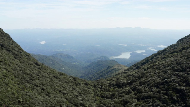 热带山地雨林视频素材