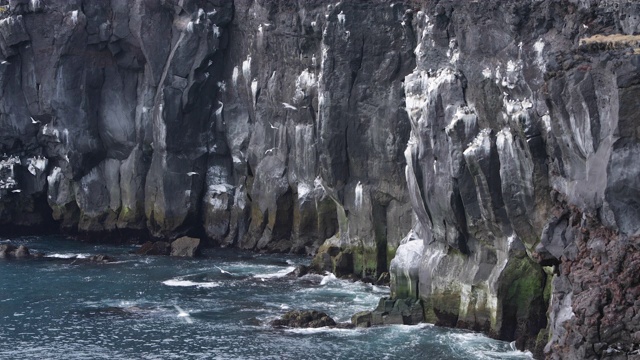 在冰岛Snæfellsnes半岛悬崖上飞翔的海鸟视频素材