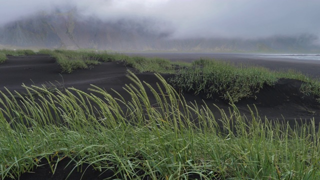 冰岛的韦斯特拉霍恩山和海滩视频素材