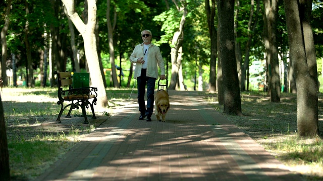 盲人老人带着导盲犬在公园散步，训练有素的金毛猎犬视频素材