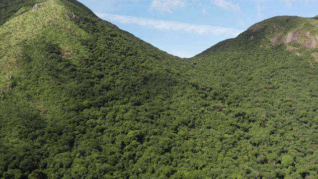 热带雨林亚马逊热带山脉视频素材