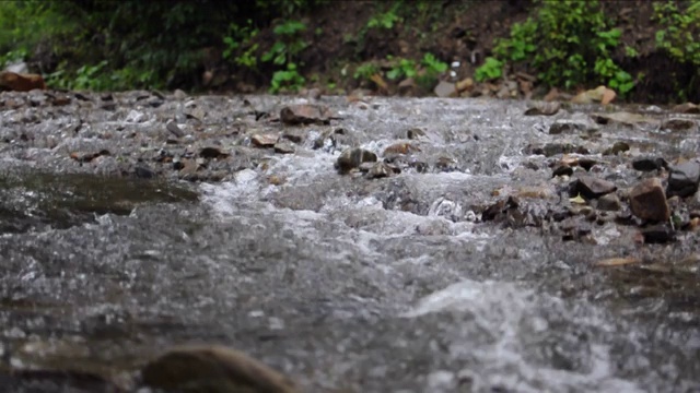 近距离的山涧流。森林中的浅溪。视频素材