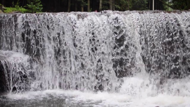 水流在喀尔巴阡山脉的森林里。大森林河流水流视频素材