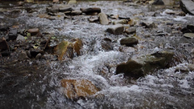 山河的特写。溪水随岩石流动。森林里有湍急的河流视频素材