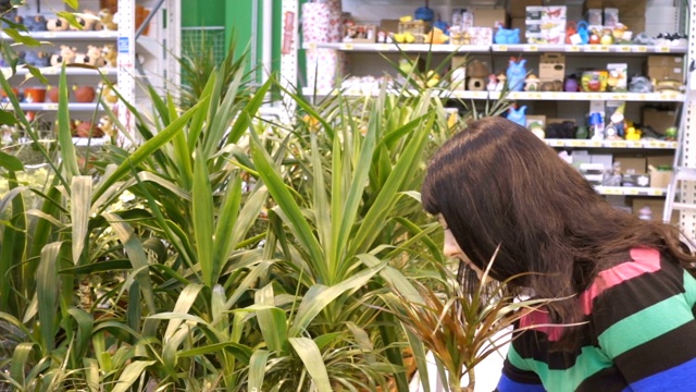 年轻女性在选购鲜花。超市里的女人。商店里的那个女孩。买家。选择植物。购买植物。花店视频素材