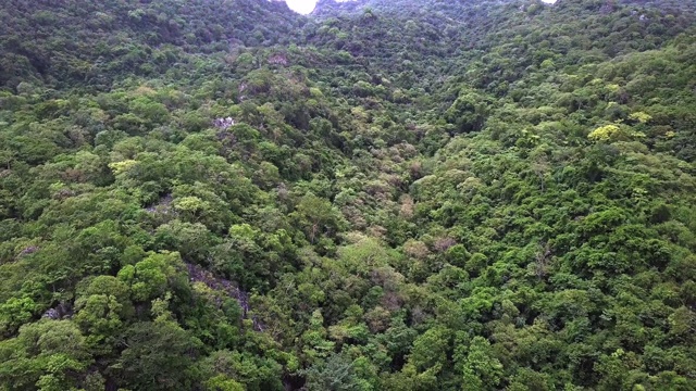 4k分辨率热带雨林鸟瞰图，丛林山地景观视频素材