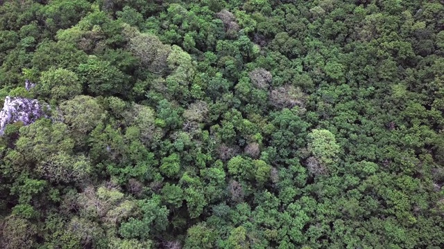 4k分辨率热带雨林鸟瞰图，丛林山地景观视频素材