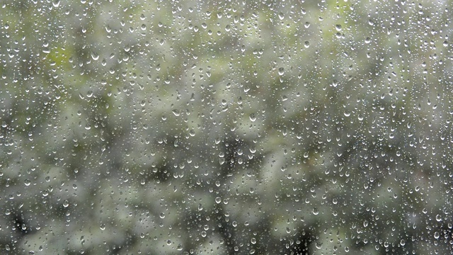 窗外的雨视频素材