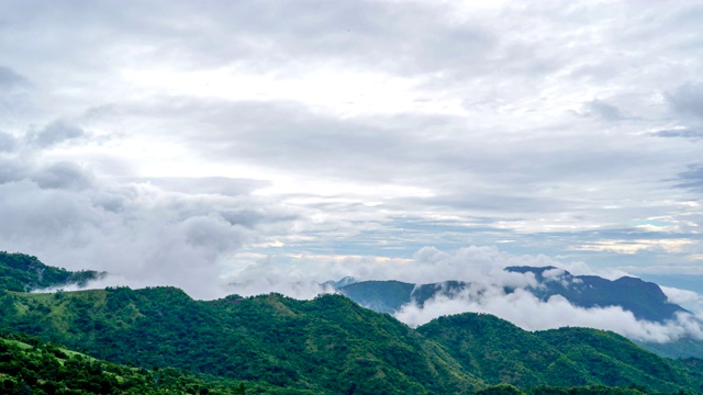 在绿色的山上有雾的雨林视频下载