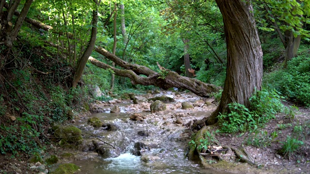 山区河流视频素材