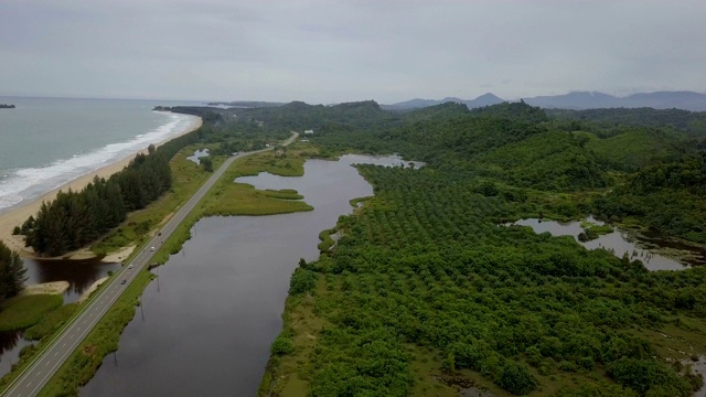 雨林和河流鸟瞰图视频素材