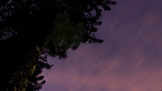 韩国江原道森林的夜空视频素材