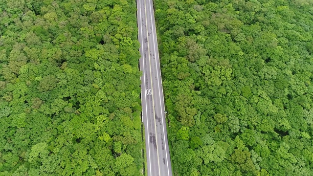 韩国济州岛西浦路1100号视频素材