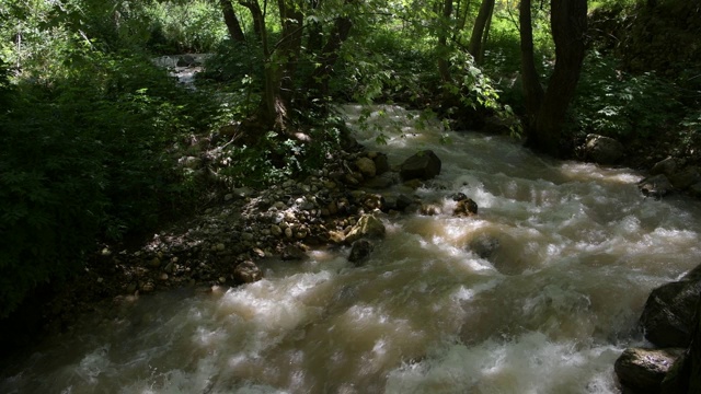 黎巴嫩卡迪沙河谷溪流视频素材