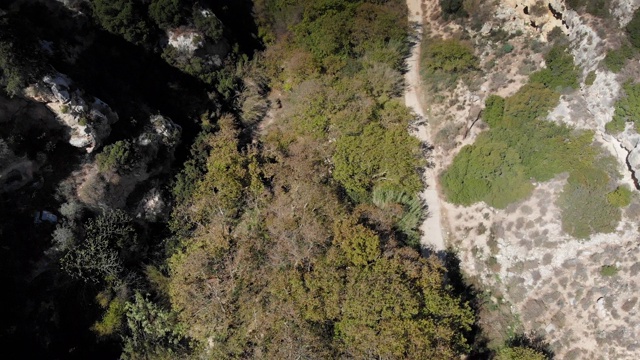 鸟瞰图的步道在树林中，克里特岛，希腊视频素材