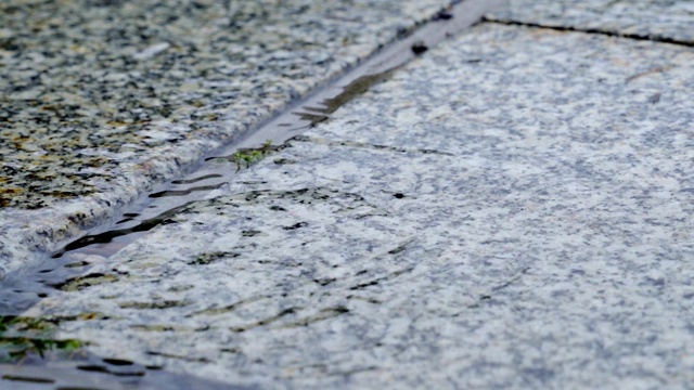 秋天的雨水滴落在街道上，形成巨大的气泡视频素材