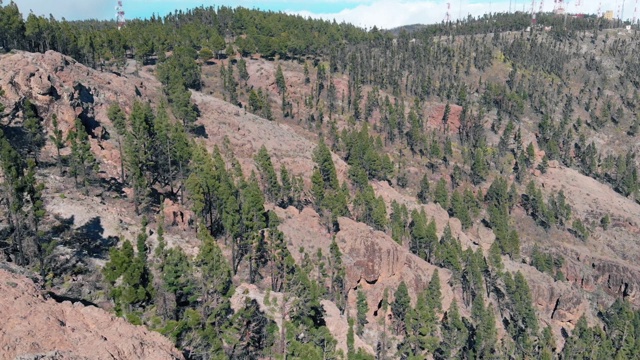 鸟瞰图-松树林在火山起源的山坡上，一个阳光明媚的日子，Pico de las Nieves，大加那利岛的自然地标视频素材