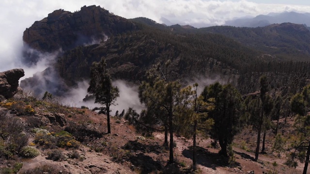 鸟瞰图-无人机飞过云雾之上的山脉松树，加纳利岛的Pico de las Nieves视频素材