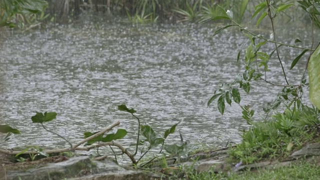 委内瑞拉卡纳马国家公园的雨天视频素材