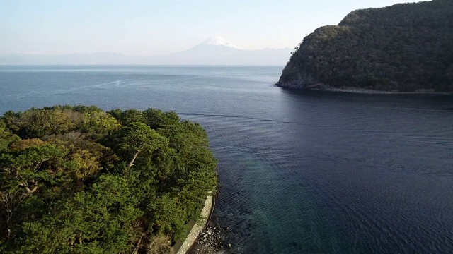 日本，亚洲，本州，静冈县，河田，伊豆半东半岛，富士山和鸟居门视频素材