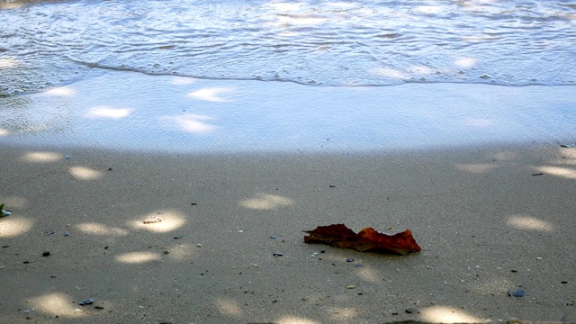 美丽的天堂海滩在安达曼海海湾海岸视频素材