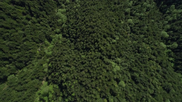 春天的清晨，俄勒冈州里德斯波特附近的伍迪山脉。空中无人机视频与平移和倾斜的电影摄像机运动。视频素材