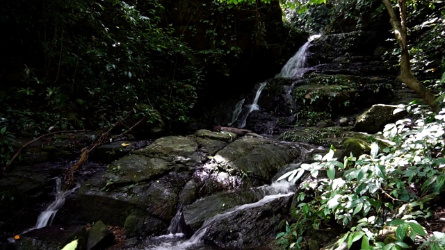 水落在绿色的森林里。视频素材