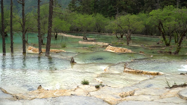 淘景:黄龙谷风景区的天然五色池，中国四川视频素材