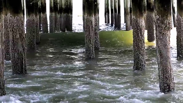 大西洋的波浪在缅因州的老果园海滩的码头下翻滚视频素材