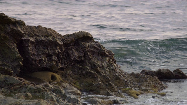 海浪撞击岩石视频素材