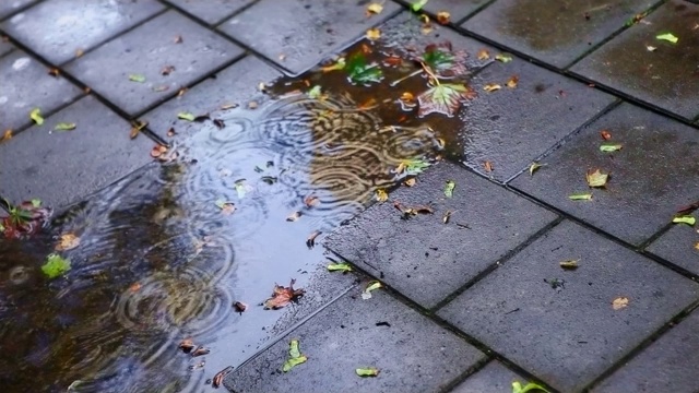 雨点和秋叶一起落在老街上视频下载