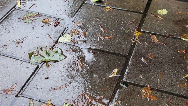 雨点和秋叶一起落在老街上视频素材