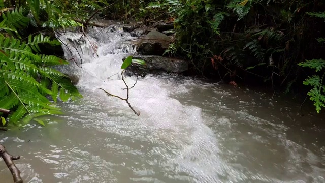 水在流视频素材