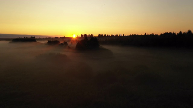 4K在雾中飞过清晨的夏日草地，美丽的夏日景观，高品质视频素材