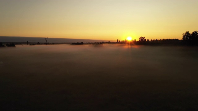 4K在雾中飞过清晨的夏日草地，美丽的夏日景观，高品质视频素材