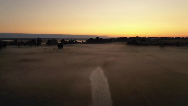 4K在雾中飞过清晨的夏日草地，美丽的夏日景观，高品质视频素材