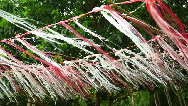 风吹视频素材