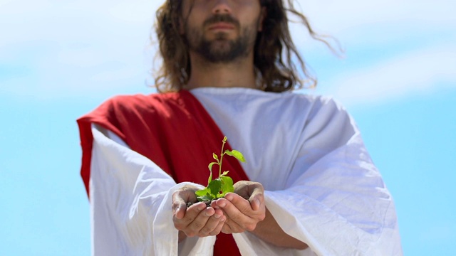 人如耶稣捧着植物在棕榈中，呵护和保护自然、生态视频素材