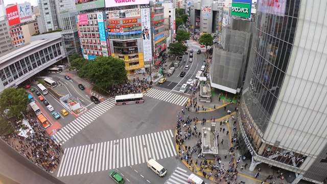 俯瞰日本东京涩谷十字路口视频素材