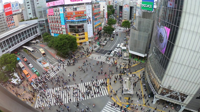 俯瞰日本东京涩谷十字路口视频素材