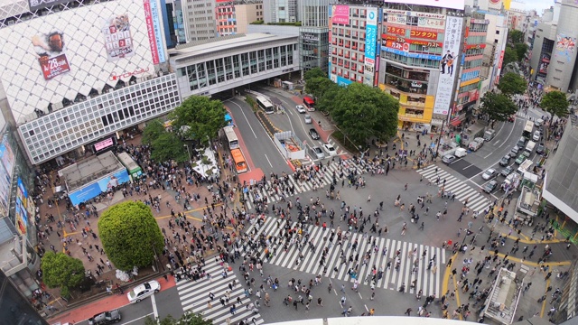 俯瞰日本东京涩谷十字路口视频素材