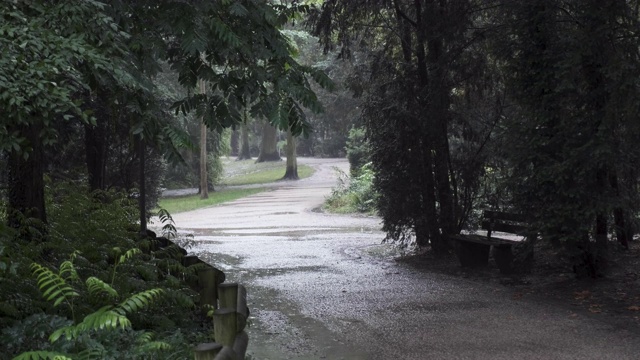 雨天的公园路视频素材